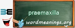 WordMeaning blackboard for praemaxilla